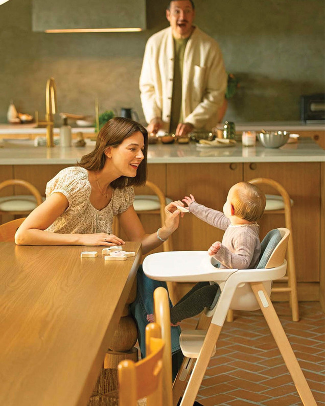 Bryn high chair Heritage colour  Nuna