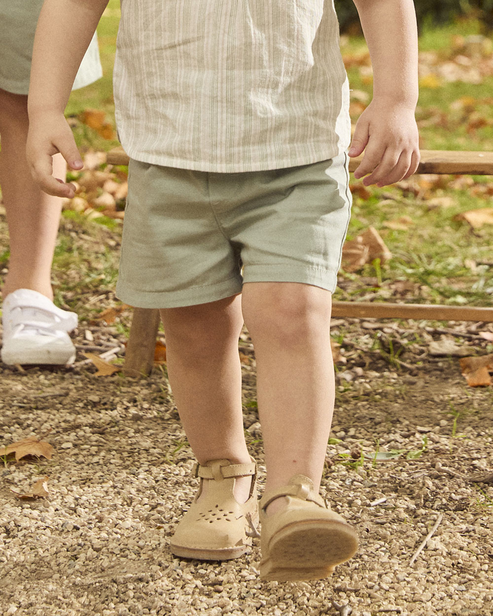 Canvas shorts Green colour Sergent Major