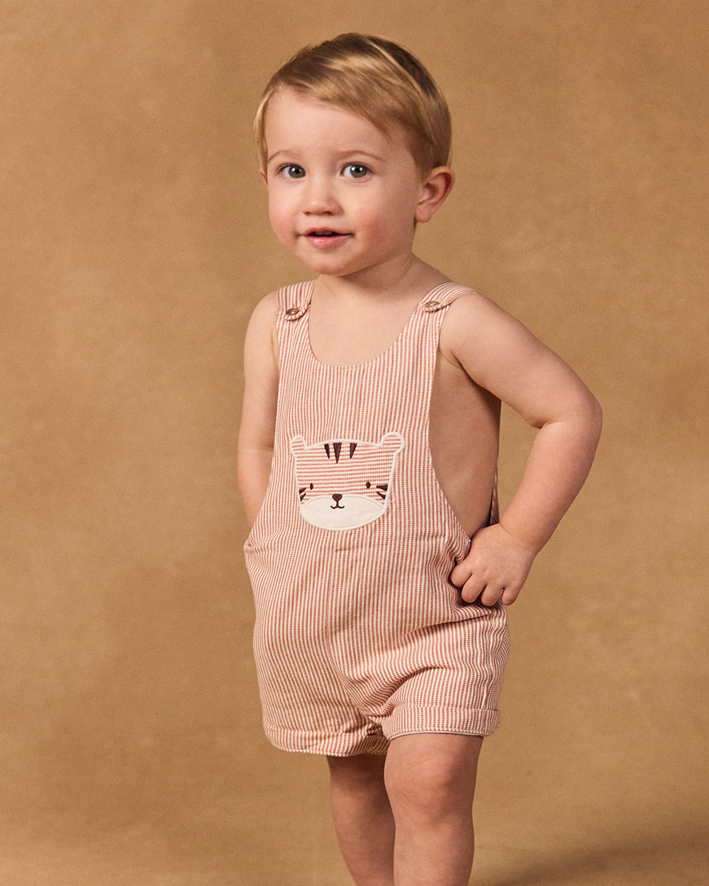 Striped short overalls Brown colour  Sergent Major