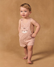 Striped short overalls Brown colour  Sergent Major