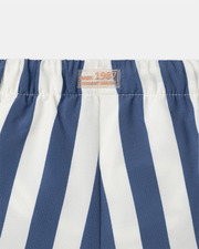Striped swim shorts with nappy Blue colour Sergent Major