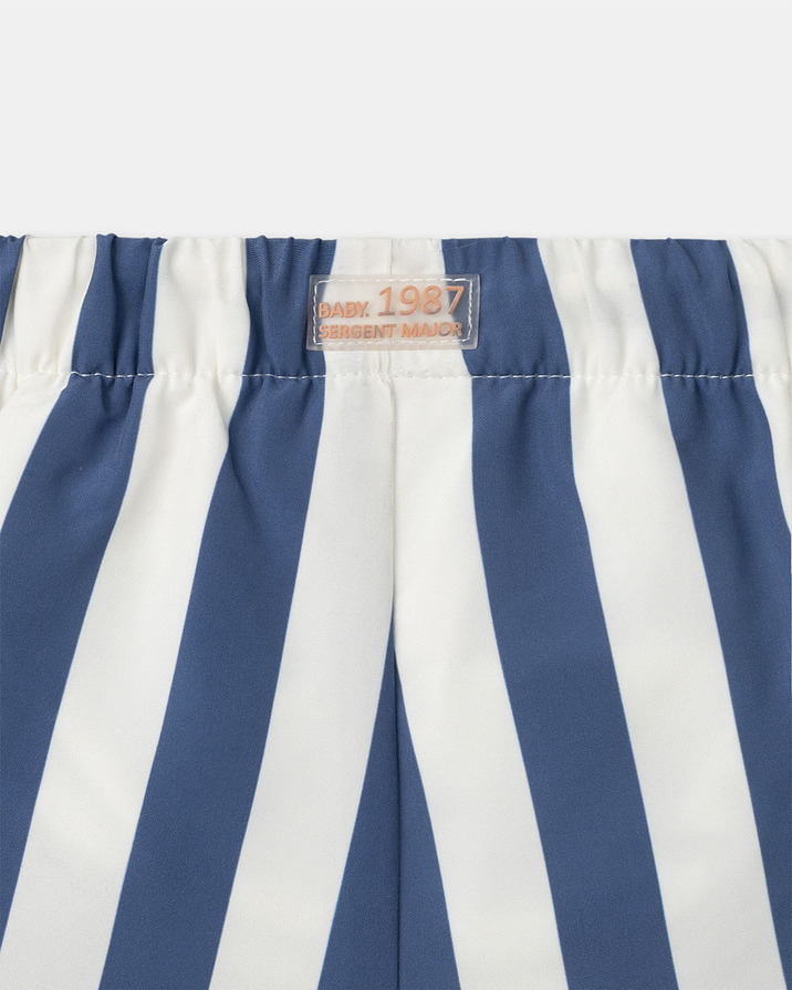Striped swim shorts with nappy Blue colour Sergent Major