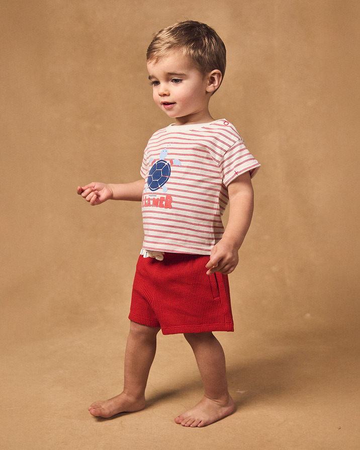 Striped T-shirt and red shorts set Red colour  Sergent Major