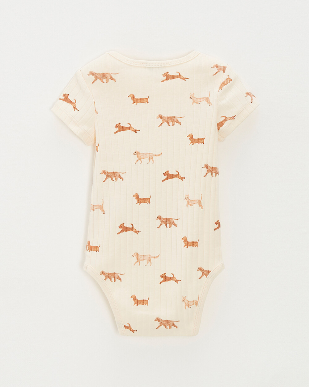 Short-sleeved ribbed bodysuit Dog print  Natalys