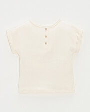 Kid' short-sleeved tee-shirt Embroidered chalk colour Natalys