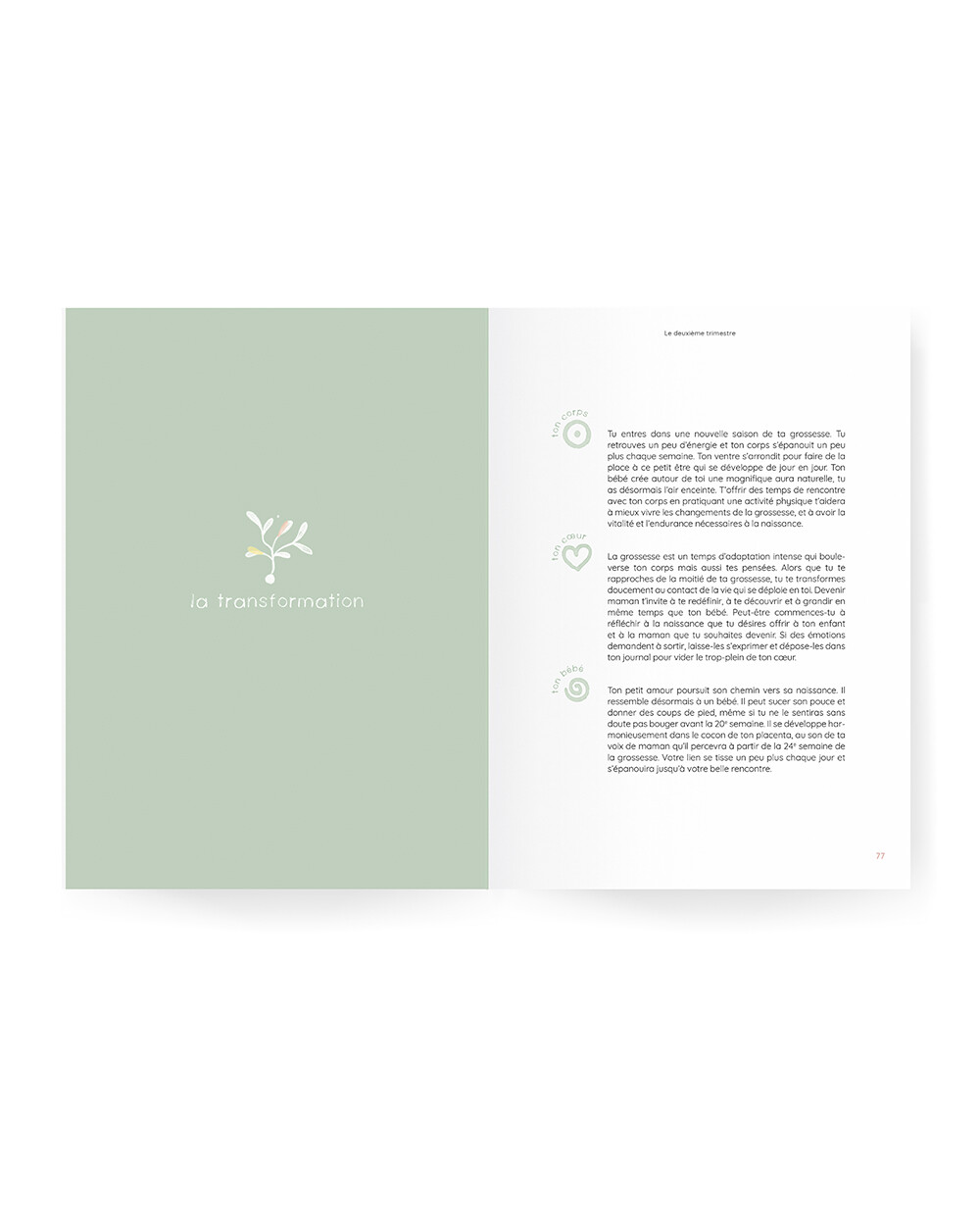 Pregnancy guide Nightlight  Ilado