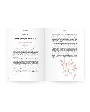 Pregnancy guide Nightlight  Ilado