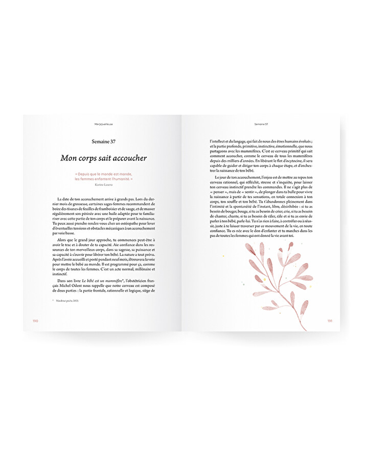 Pregnancy guide Nightlight  Ilado