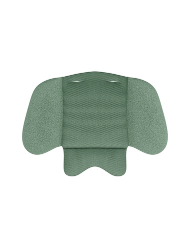 Cloud T i-Size car seat Leaf green colour (Plus)  Cybex