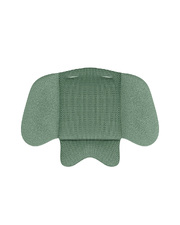 Cloud T i-Size car seat Leaf green colour (Plus)  Cybex